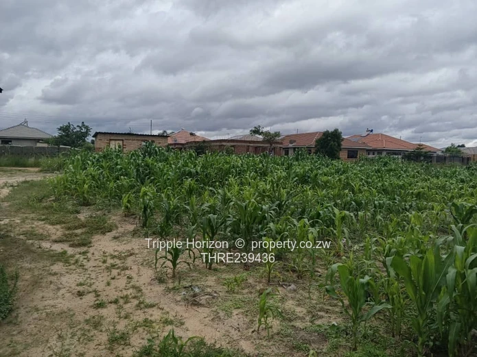 Ridle ridge park stand for sale 1000 square metres 