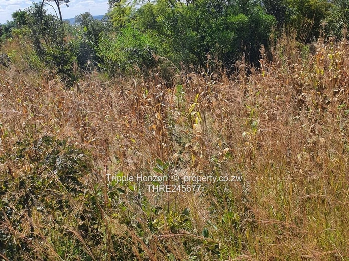 1000m² Stand in Crowhill Views — Gravel Road Access