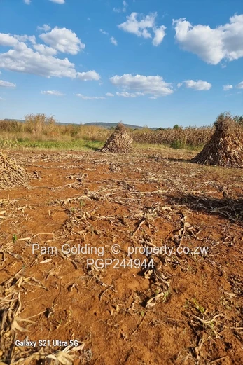 Stand for Sale in Norton