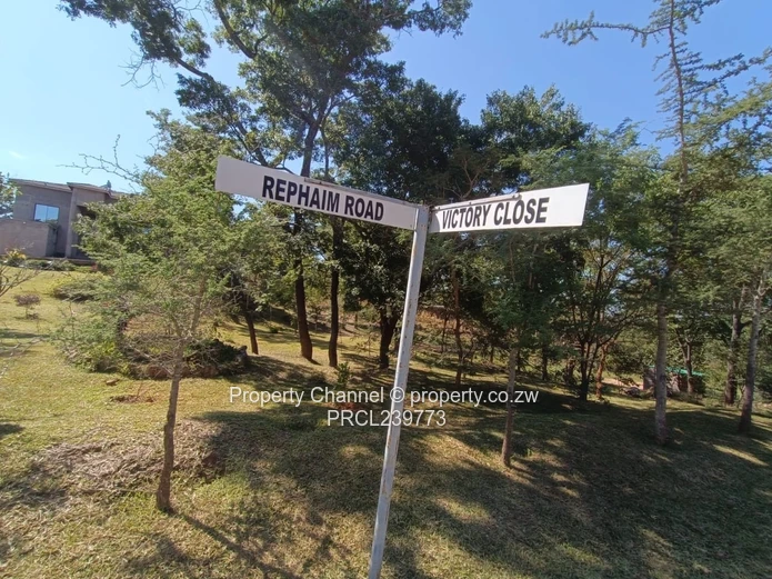 UPMARKET Prime Residential Stand! Carrick Creagh