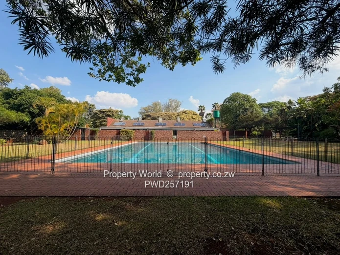 Studio Apartment To Let In Ryelands
