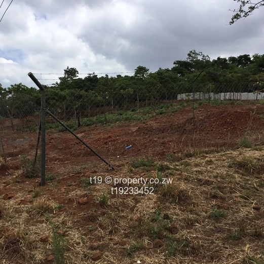 Build your dream home  (Sole Mandate)