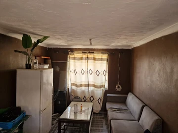Flat & Apartment