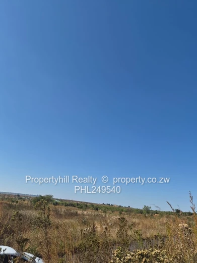 Pomona : Buckland Terraces (Sole Mandate)
