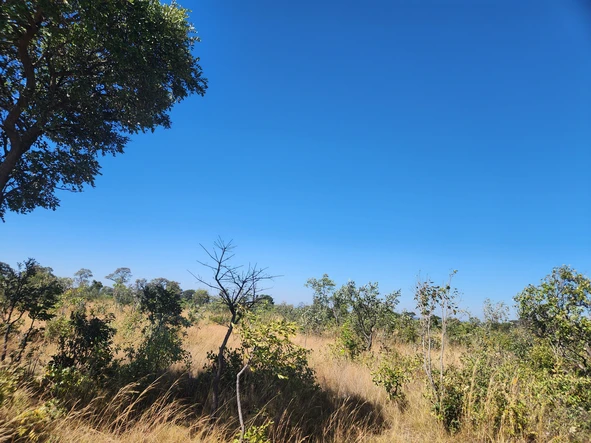 Farm & Agricultural Land