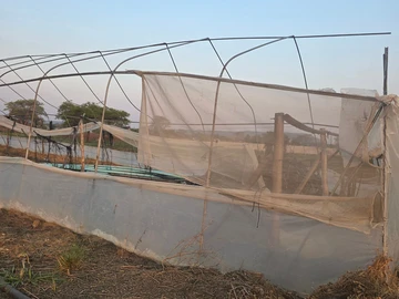 Farm & Agricultural Land