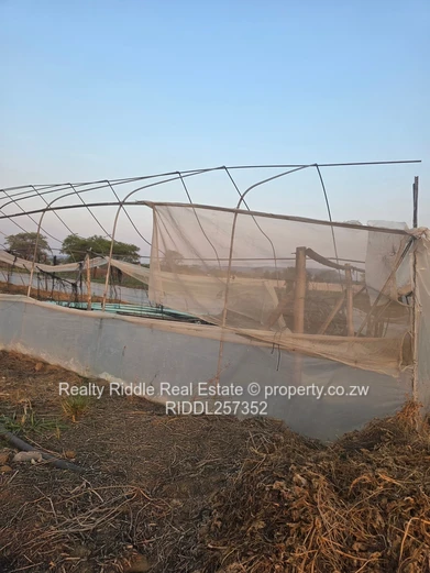 10,000-Acre Irrigated Farm with Greenhouses & Main Road Frontage