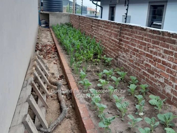 Mabvazuva –  House to Rent