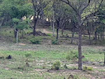 Farm & Agricultural Land