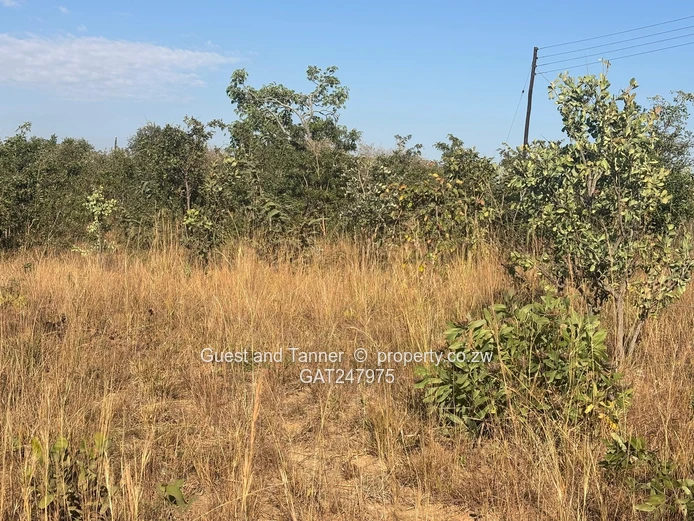 Nyabira Lilfordia Phase 3 Stand For Sale  (Sole Mandate)