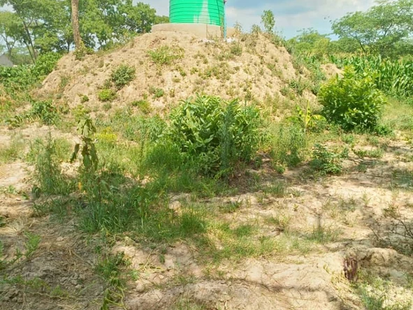 Farm & Agricultural Land