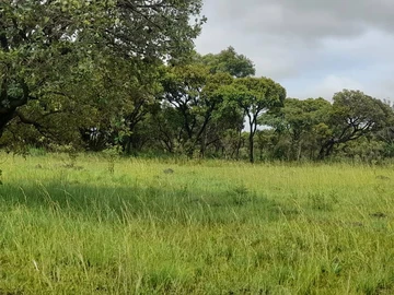 Farm & Agricultural Land