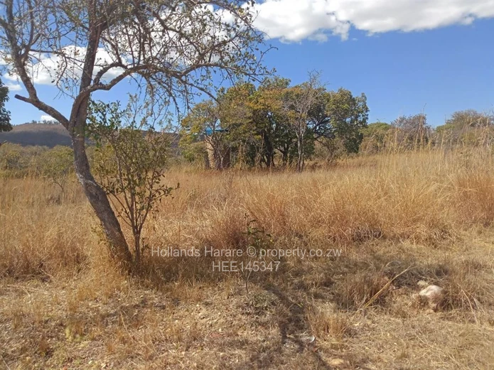 Stands & Residential Land for Sale in Nyanga HEE145347