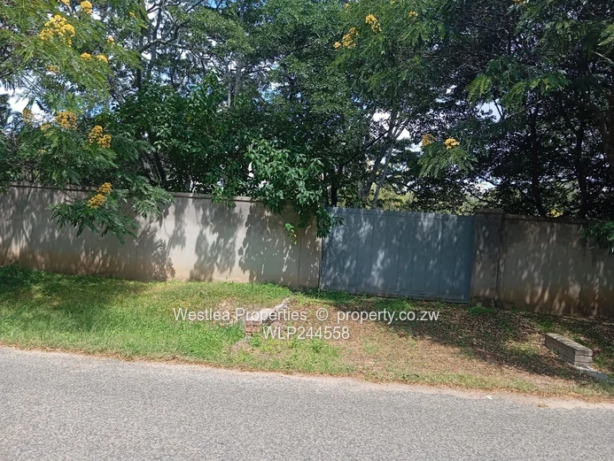 Grab this massive gem