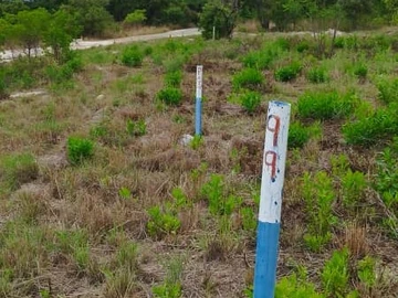 Stands For Sale In Ruwa