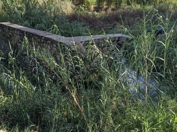 Farm & Agricultural Land