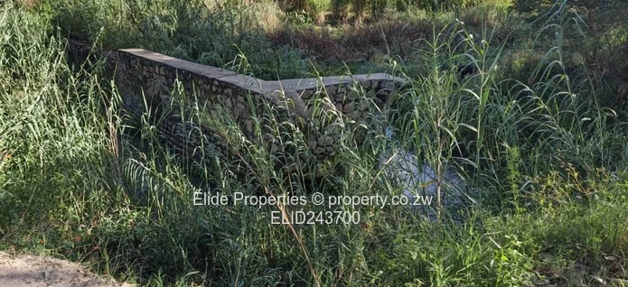 10ha Marondera Farm — Dam, Orchard, Vineyard & Homestead (Sole Mandate)