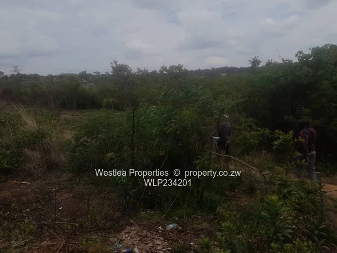 An opportunity not to miss