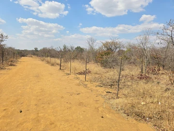 Farm & Agricultural Land