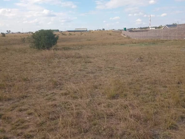 Commercial & Industrial Land