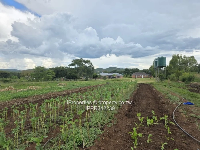 1.6 Hectares Land with a 3 Bedroom House- 30km from Harare (Sole Mandate)