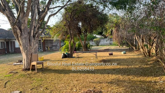 Spacious 4-Bed Family Home on 2007m² in Vainona