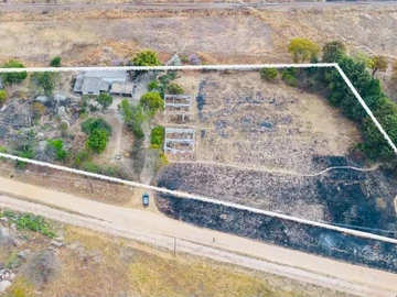 Farm & Agricultural Land