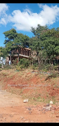 An opportunity not to miss