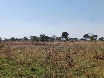 Farm & Agricultural Land