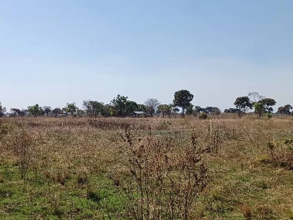 Farm & Agricultural Land