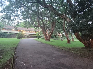 3 Bedroom Flat & Apartment