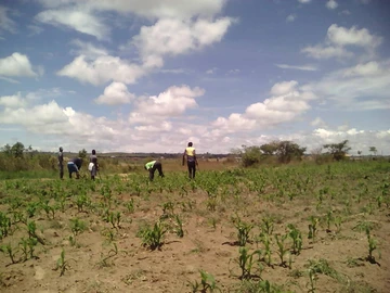 Prime 1.2 Hectares with Borehole in Rainham, Harare West