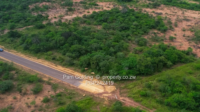 1- Hectare Plot for Sale in Kensington 