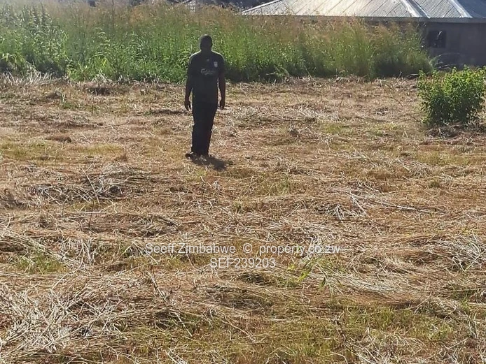 Prime 1,250m² Plot in Sandton Park — Gravel Road Access