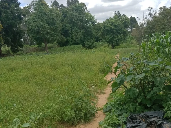 Farm & Agricultural Land