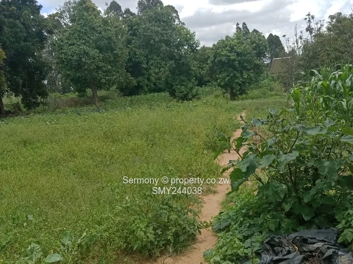 Agro - Residential Plots For Sale