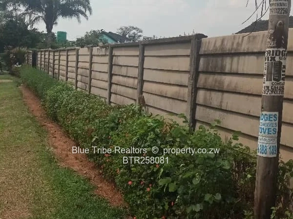 Haig Park Property For Sale 