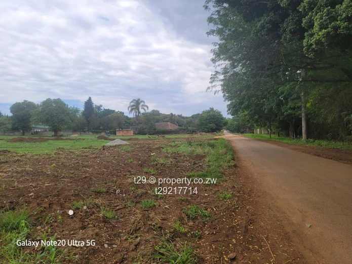 Marlborough Adylinn stands for sale