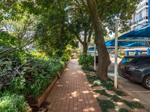 3 Bedroom Flat & Apartment