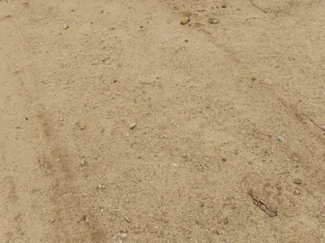 Farm & Agricultural Land