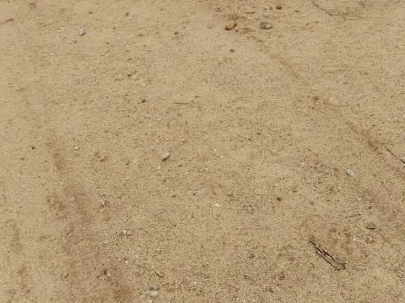 Farm & Agricultural Land