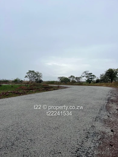 Luna Park Estate stands for sale 