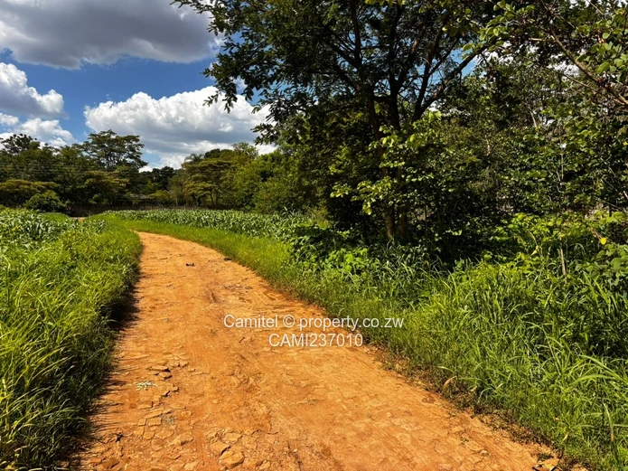 Subdividable 6,705 m² Marlborough deeds available — Walled, Main 