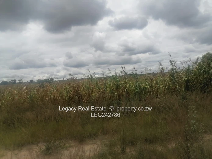 Hot Property Alert: Rydale Ridge Stand for Sale