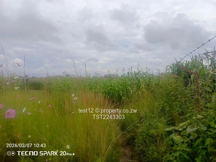 Westgate Sandton park stand for sale  (Sole Mandate)