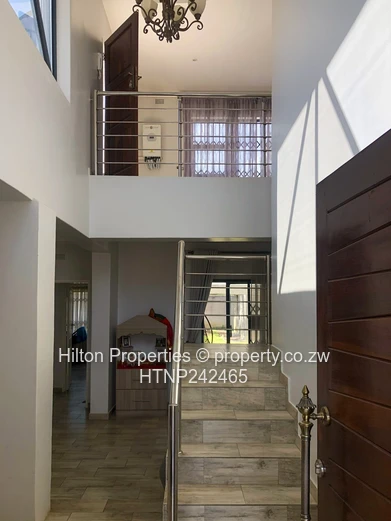 Modern Highlands Home 