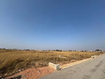 Stands & Residential Land