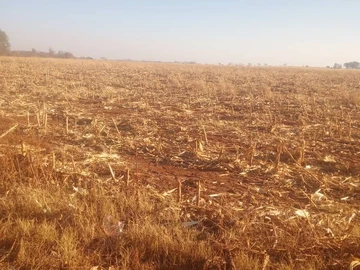 Farm & Agricultural Land