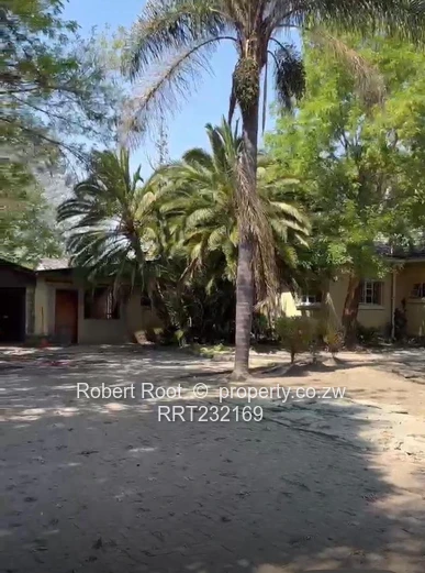 Sole Mandate :  The Visionary Developer's Dream 