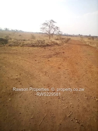 Are you ready to build your own house?